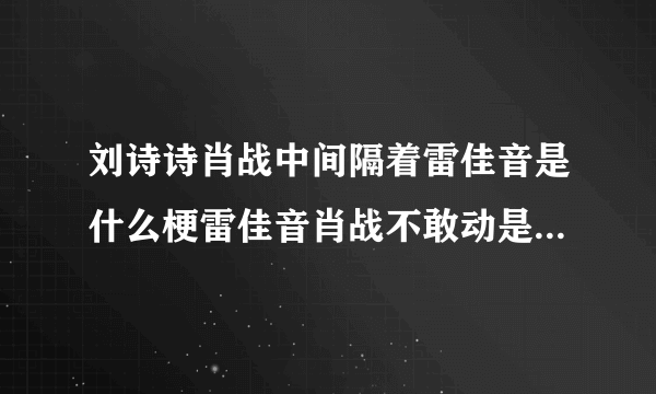 刘诗诗肖战中间隔着雷佳音是什么梗雷佳音肖战不敢动是怎么回事