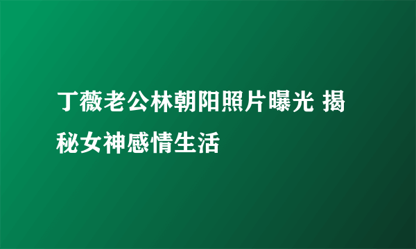 丁薇老公林朝阳照片曝光 揭秘女神感情生活