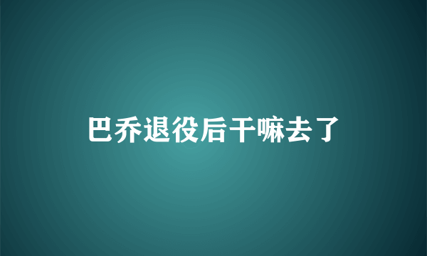 巴乔退役后干嘛去了