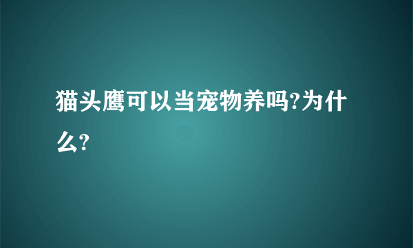 猫头鹰可以当宠物养吗?为什么?