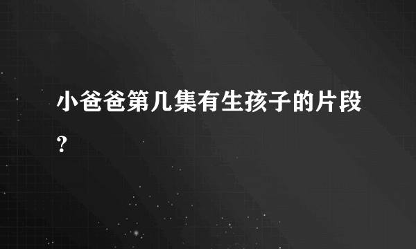 小爸爸第几集有生孩子的片段？