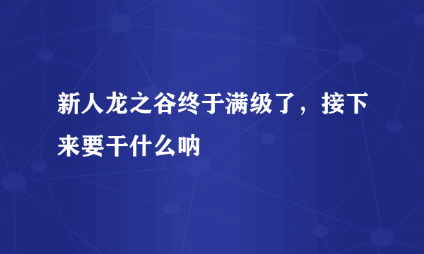 新人龙之谷终于满级了，接下来要干什么呐