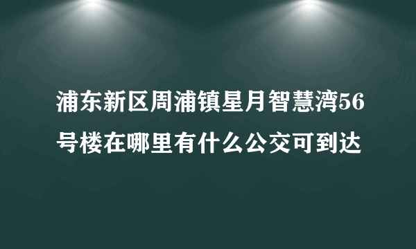 浦东新区周浦镇星月智慧湾56号楼在哪里有什么公交可到达