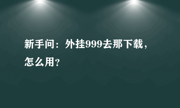 新手问：外挂999去那下载，怎么用？