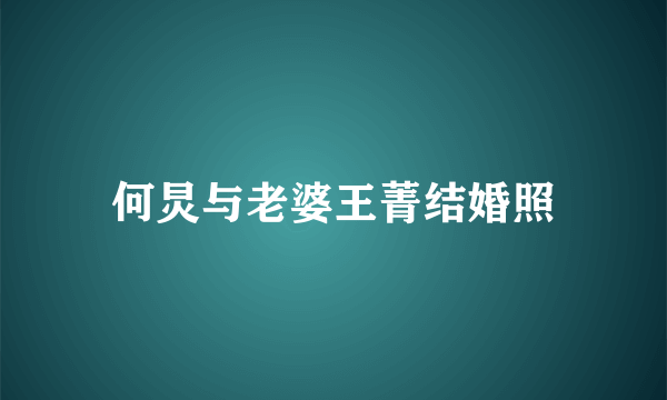 何炅与老婆王菁结婚照