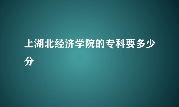 上湖北经济学院的专科要多少分