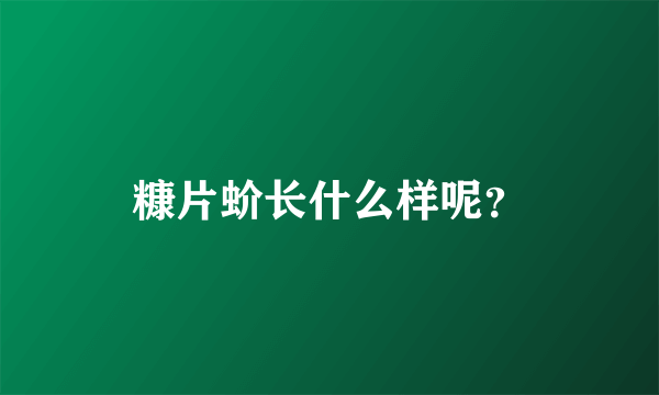 糠片蚧长什么样呢？