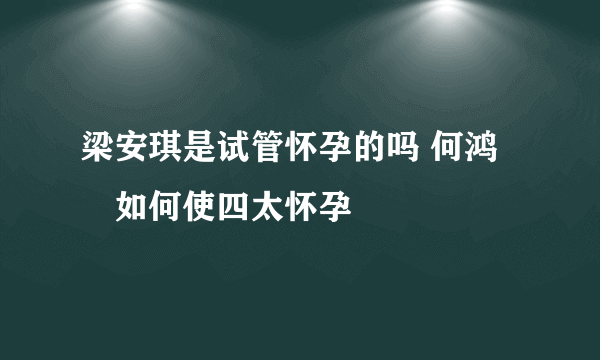 梁安琪是试管怀孕的吗 何鸿燊如何使四太怀孕