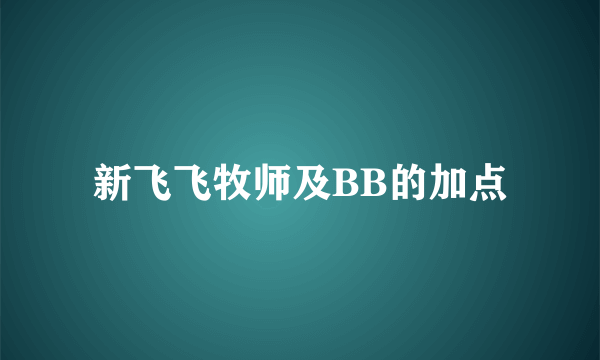 新飞飞牧师及BB的加点