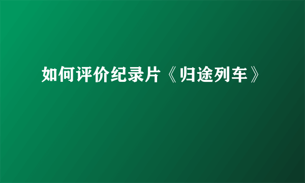 如何评价纪录片《归途列车》