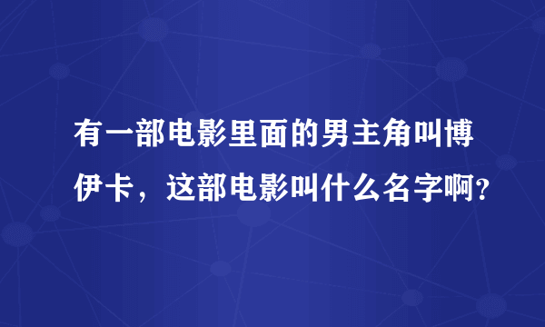 有一部电影里面的男主角叫博伊卡，这部电影叫什么名字啊？