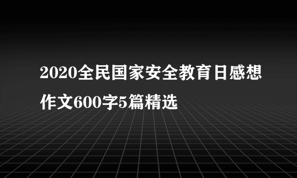 2020全民国家安全教育日感想作文600字5篇精选