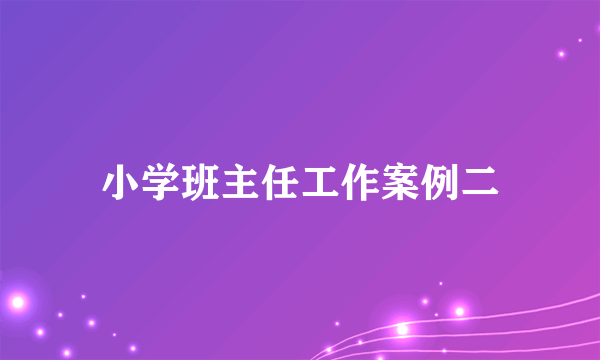 小学班主任工作案例二