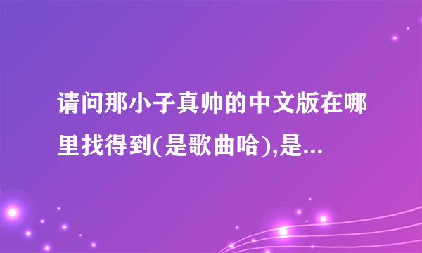 请问那小子真帅的中文版在哪里找得到(是歌曲哈),是哪个唱的,歌词是啥子