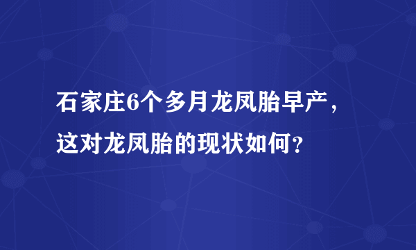 石家庄6个多月龙凤胎早产，这对龙凤胎的现状如何？