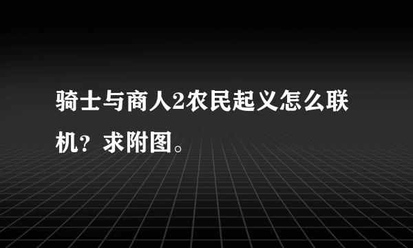 骑士与商人2农民起义怎么联机？求附图。