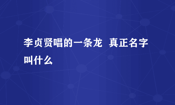 李贞贤唱的一条龙  真正名字叫什么