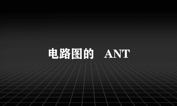 电路图的   ANT