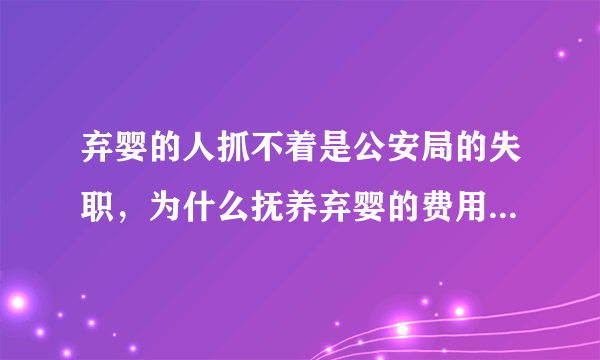 弃婴的人抓不着是公安局的失职，为什么抚养弃婴的费用却由医院承担？