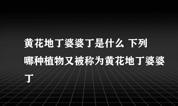 黄花地丁婆婆丁是什么 下列哪种植物又被称为黄花地丁婆婆丁