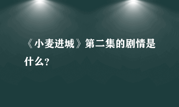 《小麦进城》第二集的剧情是什么？