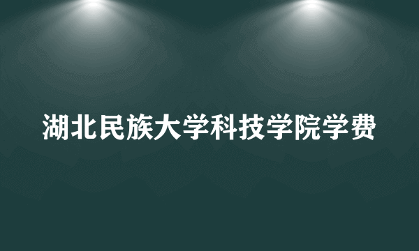 湖北民族大学科技学院学费