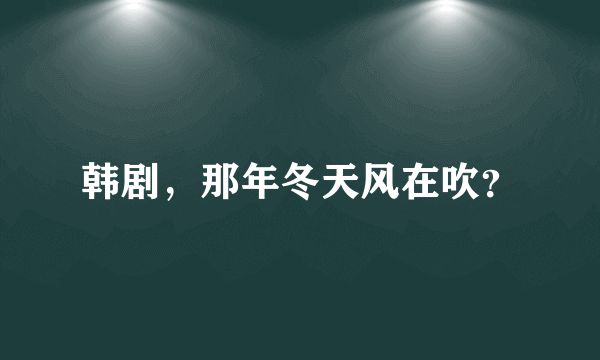 韩剧，那年冬天风在吹？