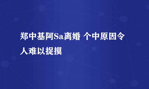 郑中基阿Sa离婚 个中原因令人难以捉摸