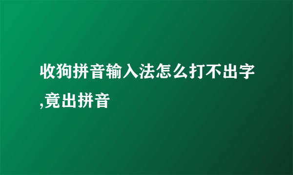 收狗拼音输入法怎么打不出字,竟出拼音