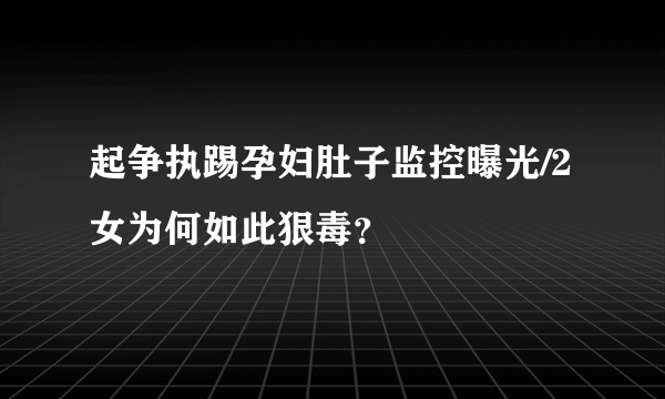 起争执踢孕妇肚子监控曝光/2女为何如此狠毒？