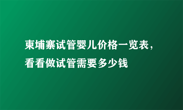 柬埔寨试管婴儿价格一览表，看看做试管需要多少钱