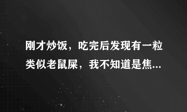 刚才炒饭，吃完后发现有一粒类似老鼠屎，我不知道是焦的还是什么，怎么办啊？