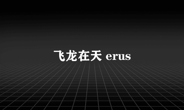 飞龙在天 erus