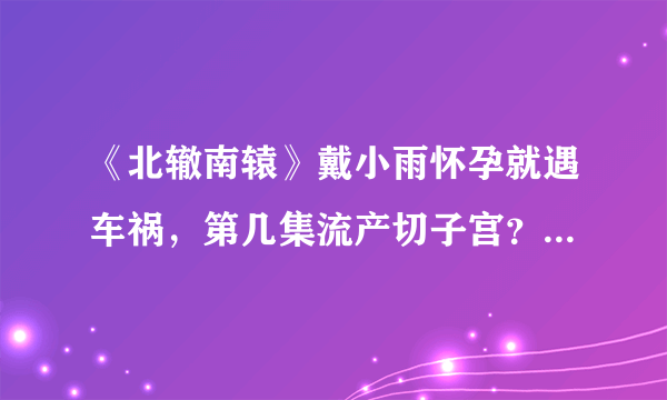 《北辙南辕》戴小雨怀孕就遇车祸，第几集流产切子宫？结局小雨和谁在一起了？