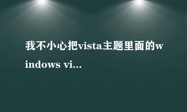 我不小心把vista主题里面的windows vista基本和windows aero给删除了