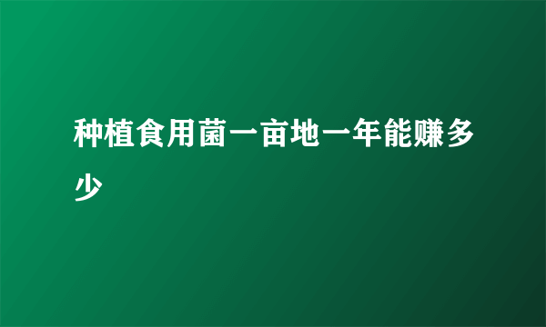 种植食用菌一亩地一年能赚多少