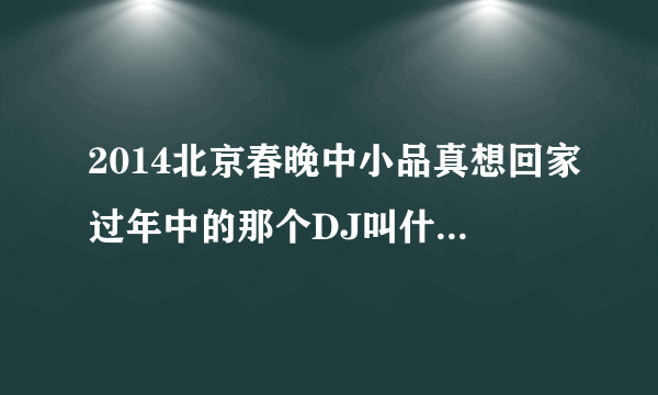 2014北京春晚中小品真想回家过年中的那个DJ叫什么，给那个小孩放的那首歌曲