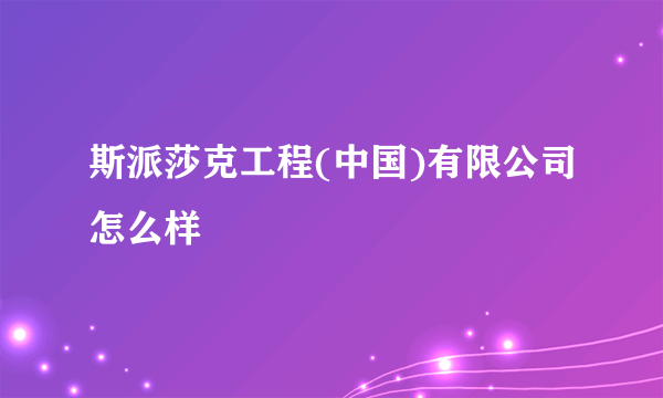 斯派莎克工程(中国)有限公司怎么样