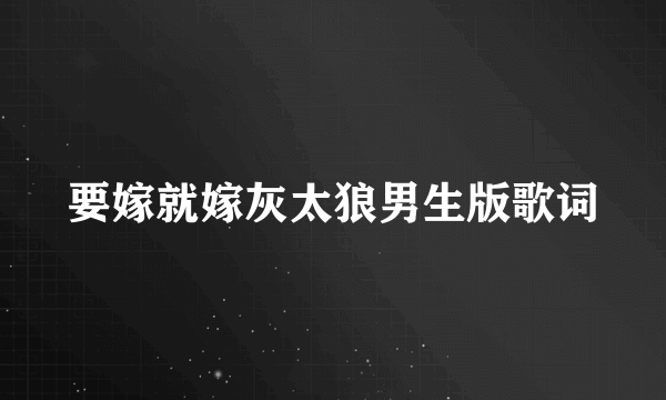 要嫁就嫁灰太狼男生版歌词