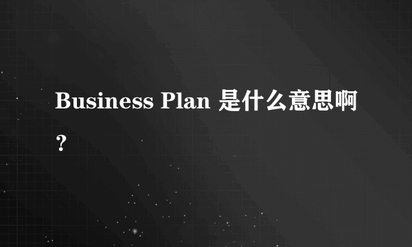 Business Plan 是什么意思啊？