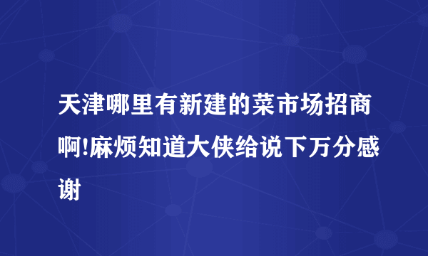 天津哪里有新建的菜市场招商啊!麻烦知道大侠给说下万分感谢