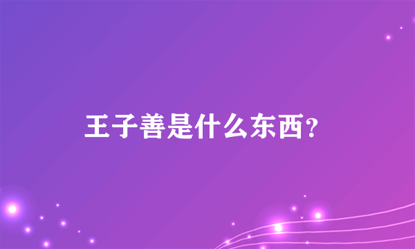 王子善是什么东西？