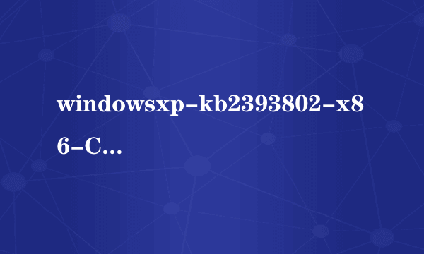 windowsxp-kb2393802-x86-CHS.exe是什么东东，有什么用怎么用，能删吗