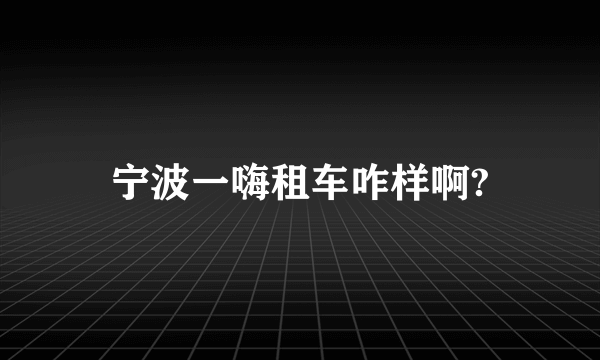 宁波一嗨租车咋样啊?