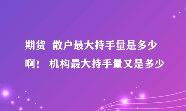 期货  散户最大持手量是多少啊！ 机构最大持手量又是多少