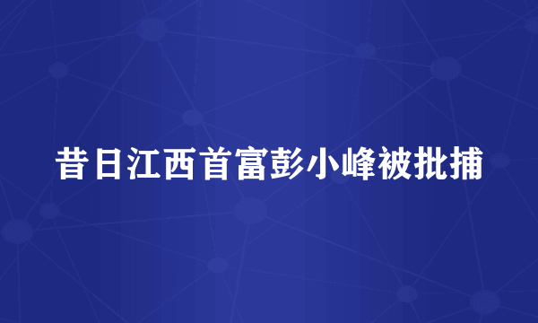 昔日江西首富彭小峰被批捕