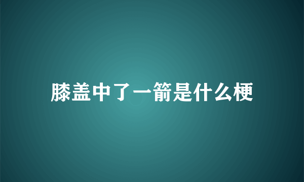 膝盖中了一箭是什么梗