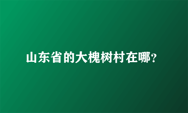 山东省的大槐树村在哪？