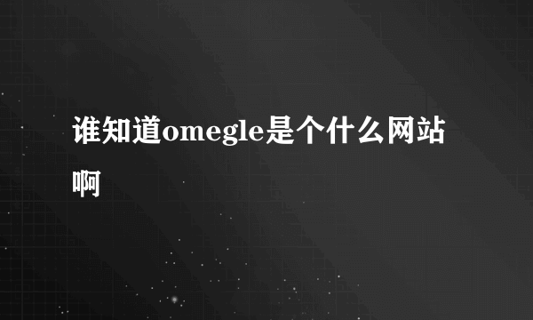 谁知道omegle是个什么网站啊