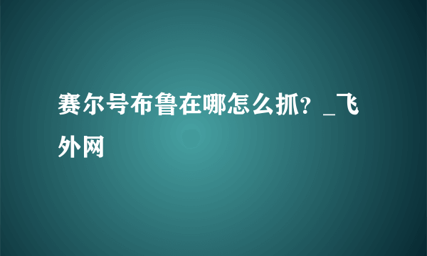 赛尔号布鲁在哪怎么抓？_飞外网